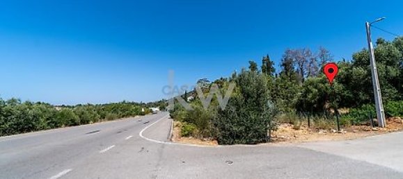 Grundstück in Loule, Portugal 4115m², Nr. 37670 4