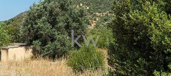 Grundstück in Loule, Portugal 4115m², Nr. 37670 13