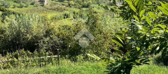 1 bedroom House in Olevano Romano, Italy No. 329421 24