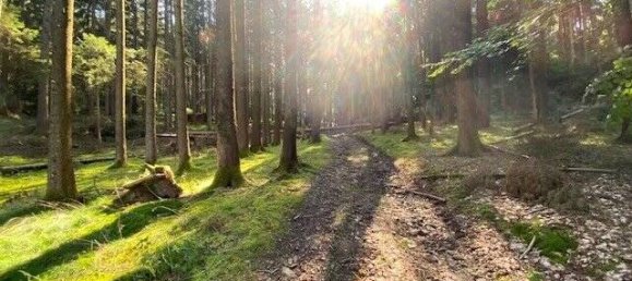  قطعة أرض في Regensburg, Germany رقم 60140 2