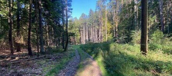  قطعة أرض في Regensburg, Germany رقم 60140 3