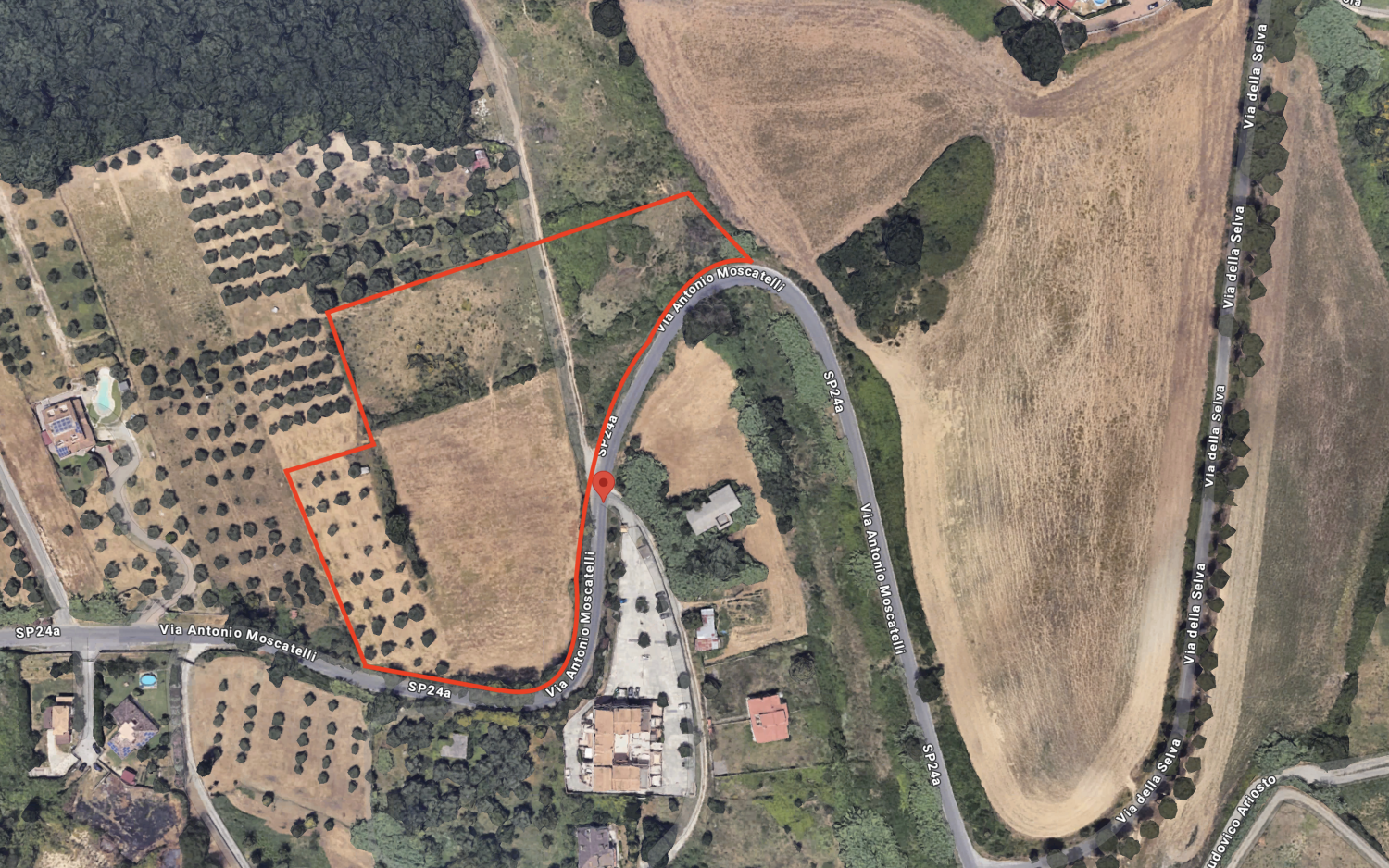  Land in Mentana, Italy No. 181330