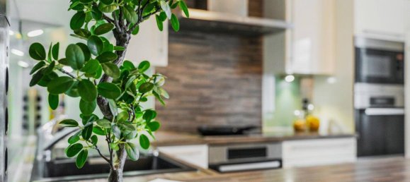 4 rooms House in Vienna, Austria No. 96937 30