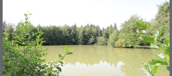 8 bedrooms Castles in Courgivaux, France No. 152943 3