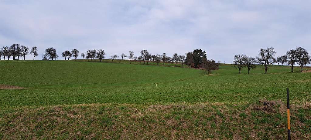Terreno em St. Peter in der Au, Austria N.º 81448