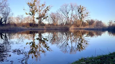  قطعة أرض في Vienna, Austria رقم 165258