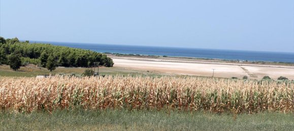 36000m² Hotel in Chalkidiki, Greece No. 8058 6