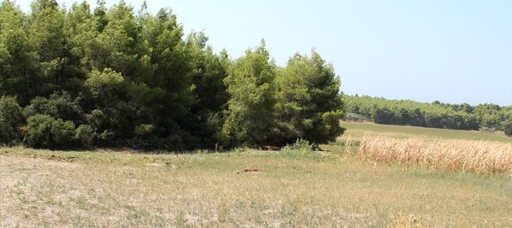 36000m² Hotel in Chalkidiki, Greece No. 8058 3