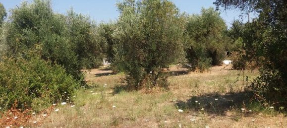  Hotel in Zakynthos, Greece No. 593 3