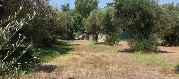  Hotel in Zakynthos, Greece No. 593 6