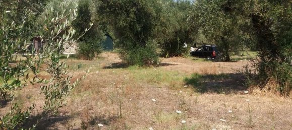  Hotel in Zakynthos, Greece No. 593 12