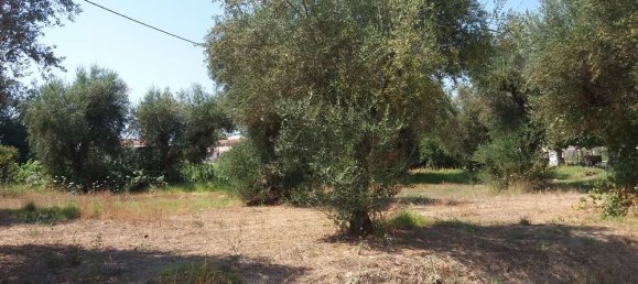  Hotel in Zakynthos, Greece No. 593 13