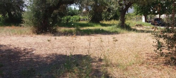  Hotel in Zakynthos, Greece No. 593 9