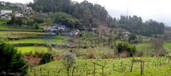 1 bedroom House in Penafiel, Portugal No. 37430 13