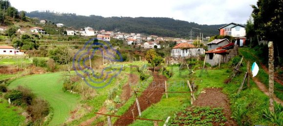 1 bedroom House in Penafiel, Portugal No. 37430 4