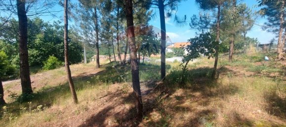 Casa T1 em Lousada, Portugal N.º 16348 3