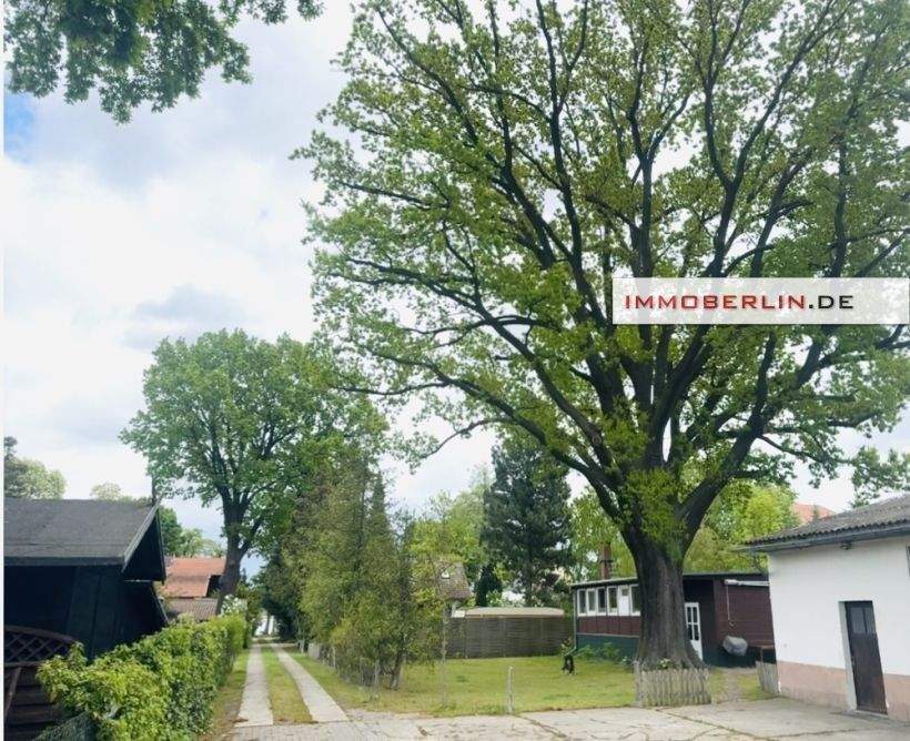 Terrain à Potsdam-Mittelmark, Germany No. 241339