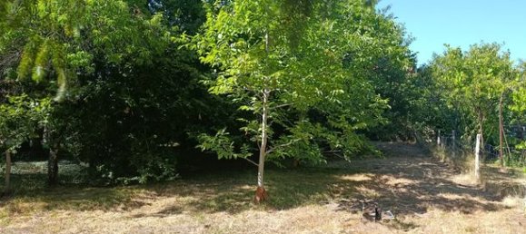 2 Schlafzimmer Haus in Vienne, France, Nr. 312828 10