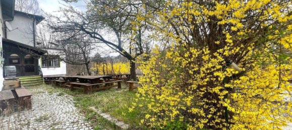 3433m² Land in Klosterneuburg, Austria No. 197686 6