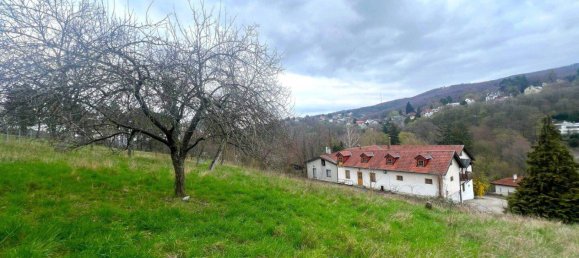 3433m² Land in Klosterneuburg, Austria No. 197686 3