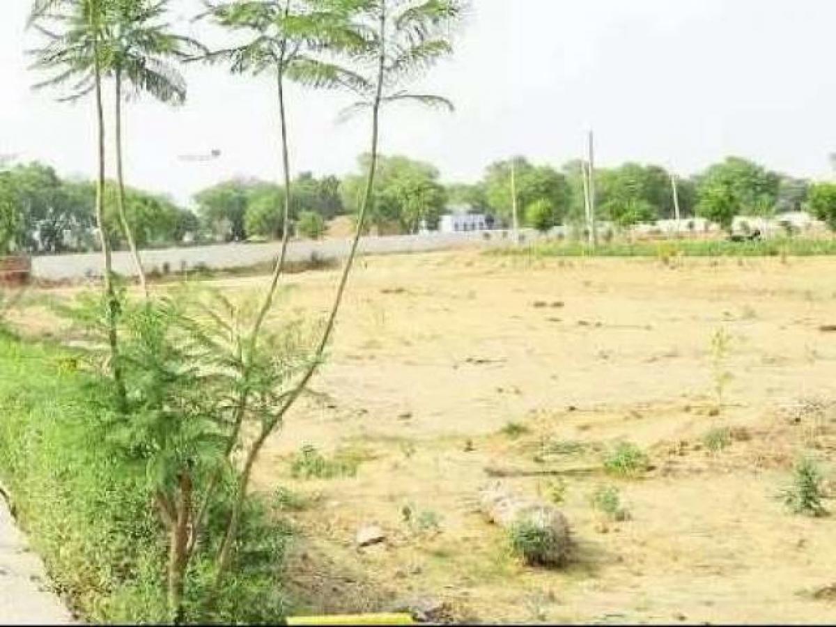 Terrain à Noida, India No. 66062