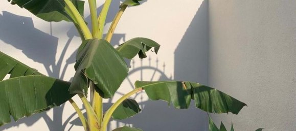 4 Schlafzimmer Villa in Ciudad Quesada, Spain, Nr. 190458 17