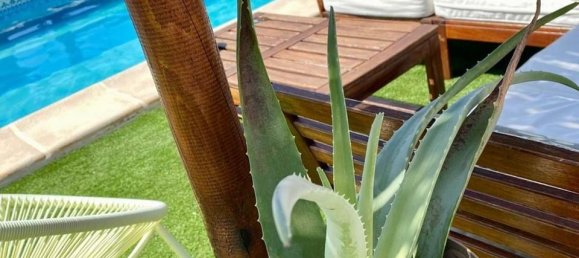 4 Schlafzimmer Villa in Ciudad Quesada, Spain, Nr. 190458 13