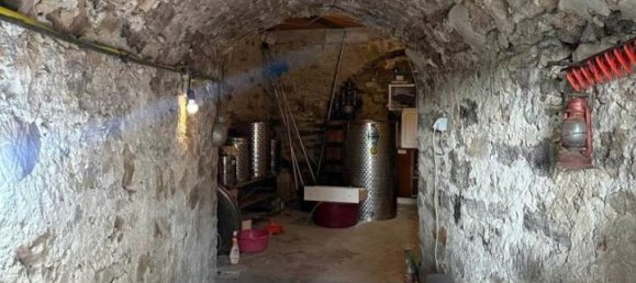 15 rooms House in Manciano, Italy No. 27343 13
