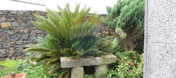 4 bedrooms House in Lagoa, Portugal No. 46786 18