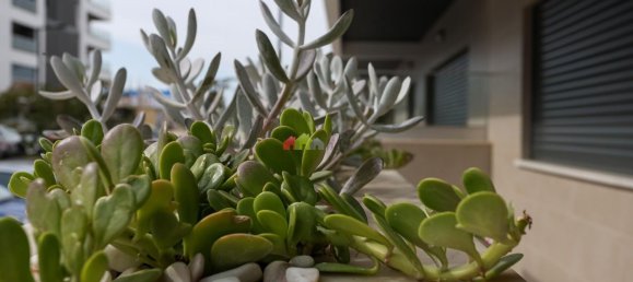 3 rooms Apartment in Montijo, Portugal No. 154909 21