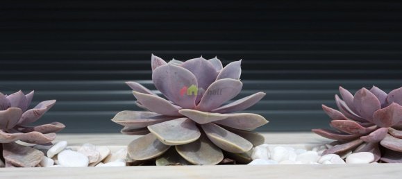 3 rooms Apartment in Montijo, Portugal No. 154909 22