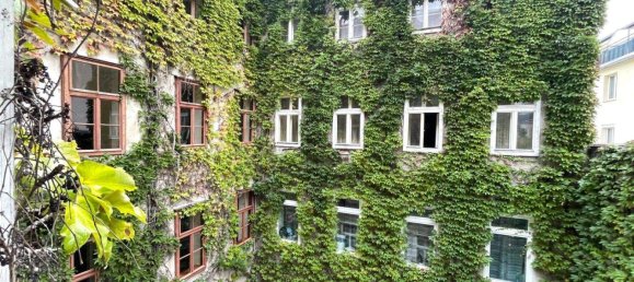 Studio à Meidling, Austria No. 250803 2