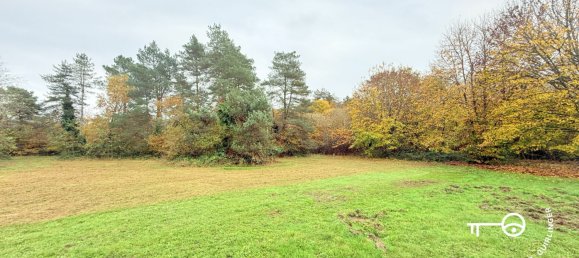  عقار تجاري في Neung-sur-Beuvron, France 447متر مربع رقم 212624 17