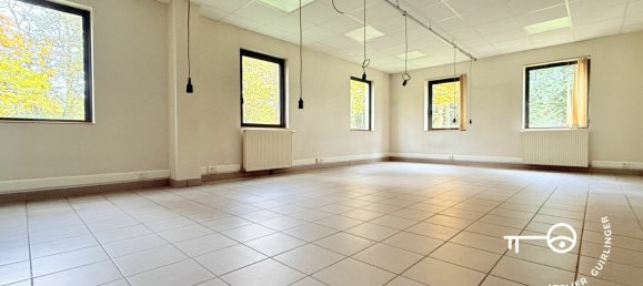  عقار تجاري في Neung-sur-Beuvron, France 447متر مربع رقم 212624 7