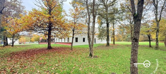  عقار تجاري في Neung-sur-Beuvron, France 447متر مربع رقم 212624 16