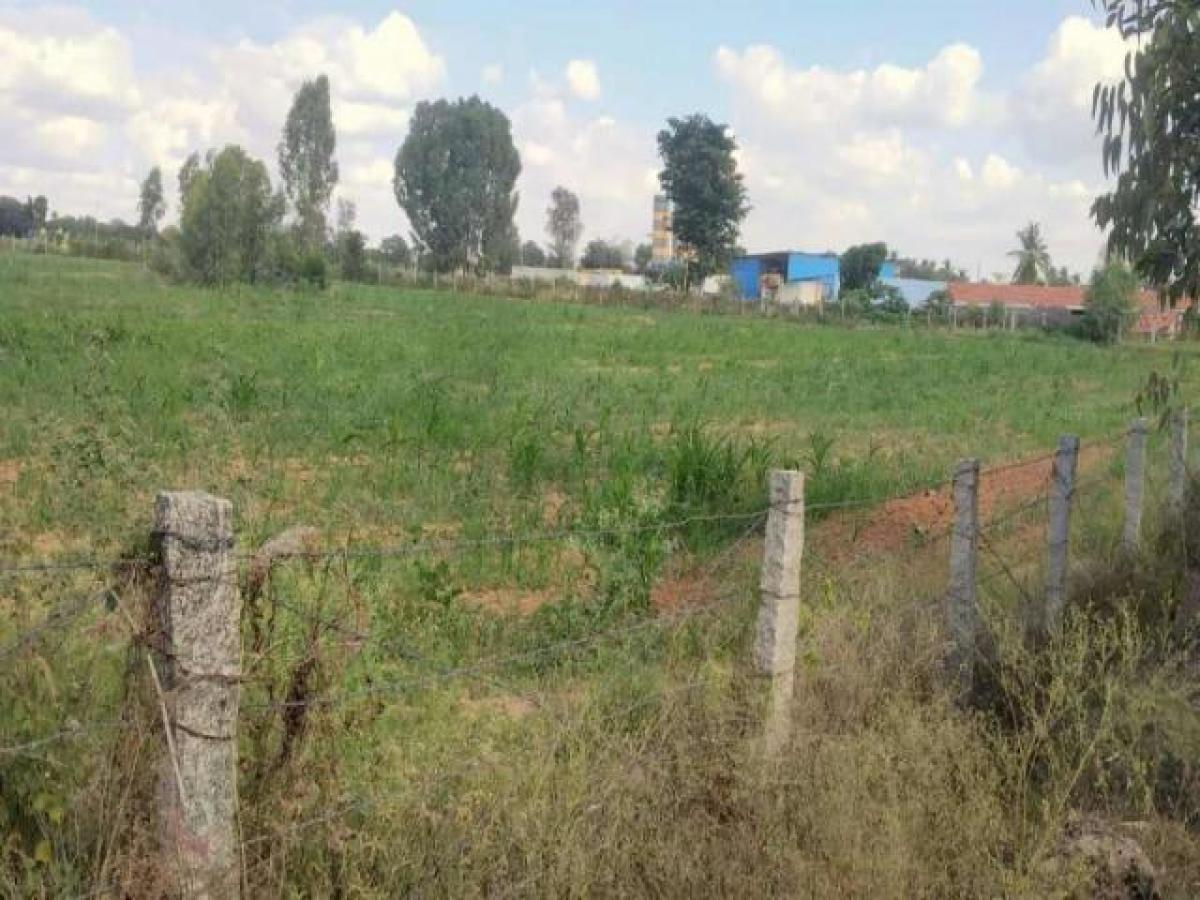  Land in Bangalore, India No. 30518