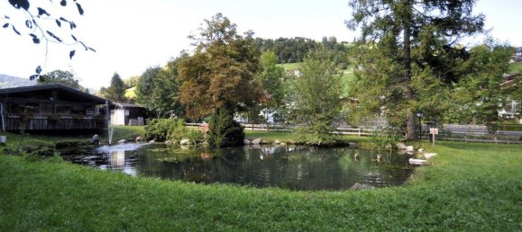 Земельный участок в Вильдшёнау, Австрия № 167094 14