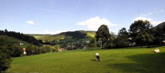 Земельный участок в Вильдшёнау, Австрия № 167094 15