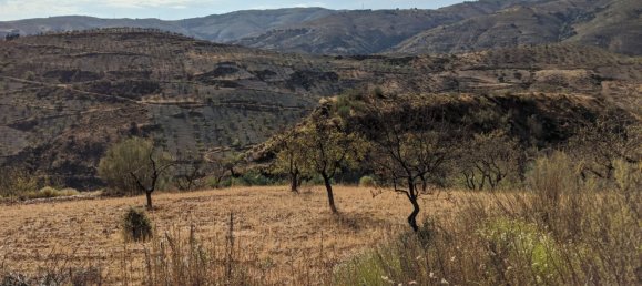 6 غرف نوم منزل في Lobras, Spain رقم 150860 31