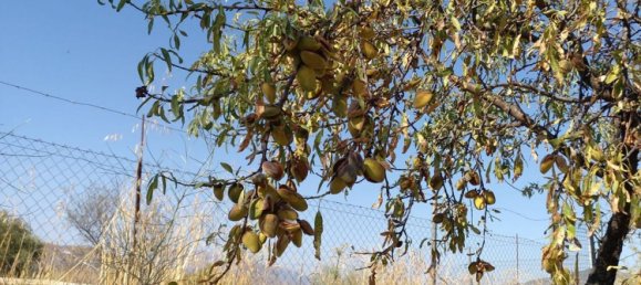 6 غرف نوم منزل في Lobras, Spain رقم 150860 32