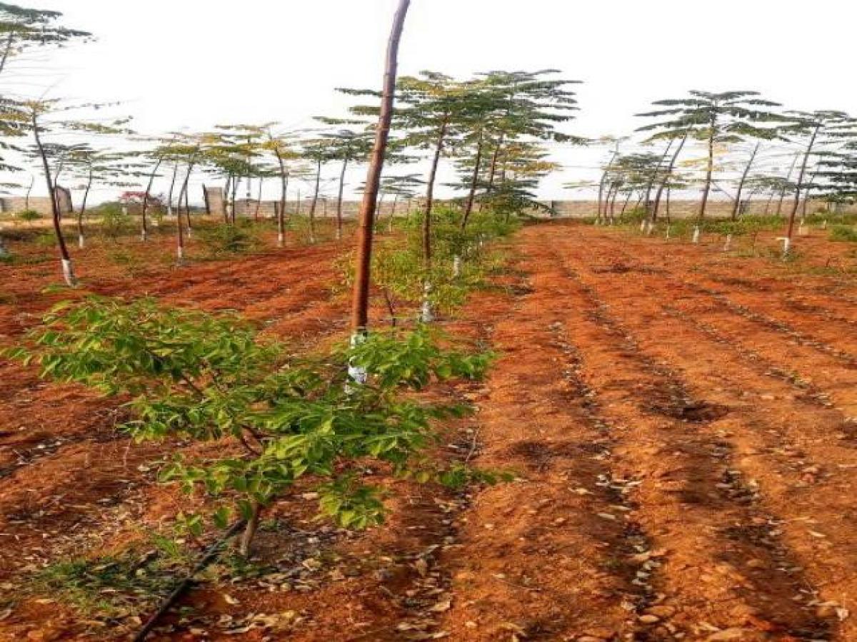 Grundstück in Hyderabad, India, Nr. 34691