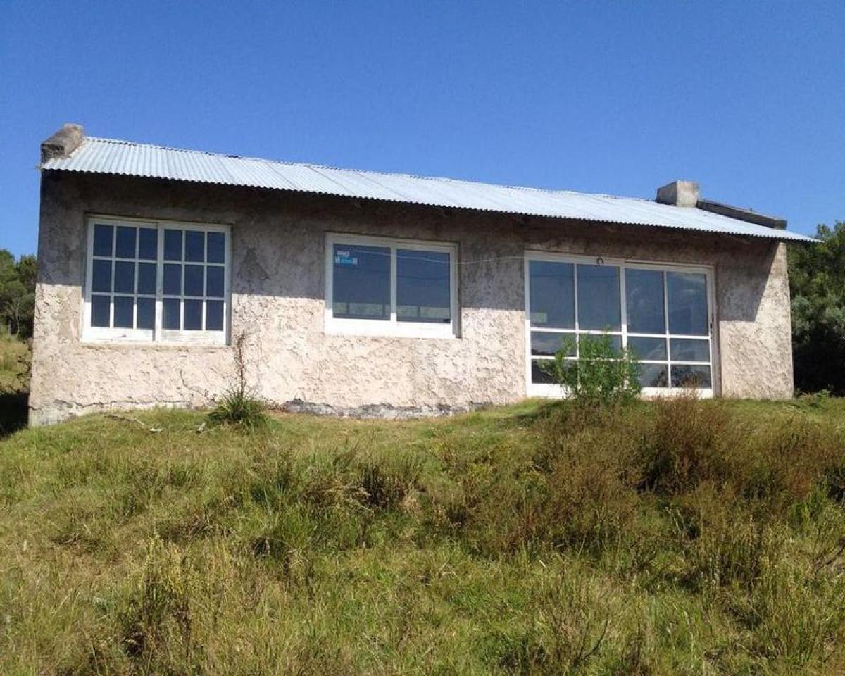  Farm in Maldonado, Uruguay No. 14533