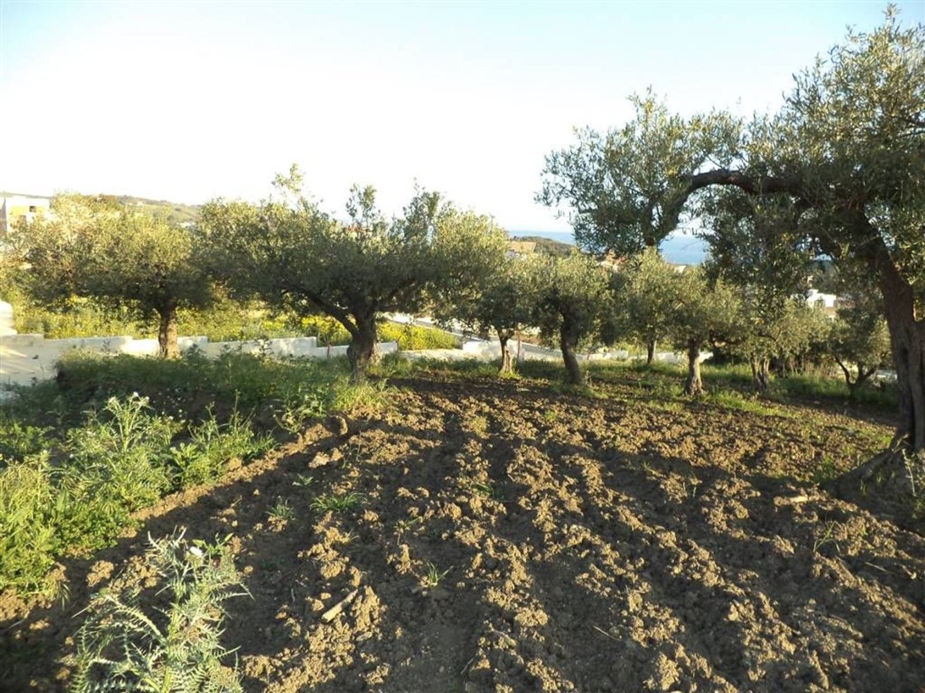 Земельный участок в Шакка, Италия № 403785