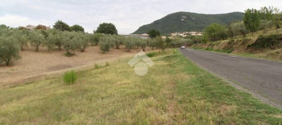 Квартира с 4 спальнями в Скандрилья, Италия № 79916 17