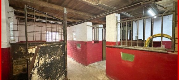 Casa de 4 divisões em Schleswig-Holstein, Germany N.º 69402 15