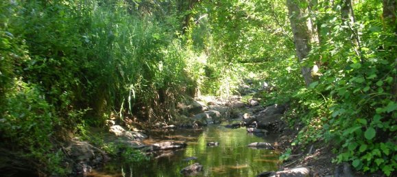 1 Schlafzimmer Haus in Odeceixe, Portugal, Nr. 53273 9