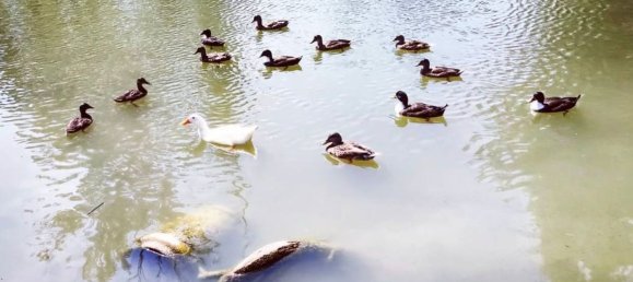 7 bedrooms Duplex in Modena, Italy No. 339267 20