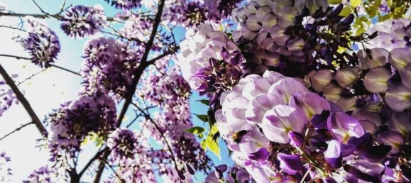 7 bedrooms Duplex in Modena, Italy No. 339267 18