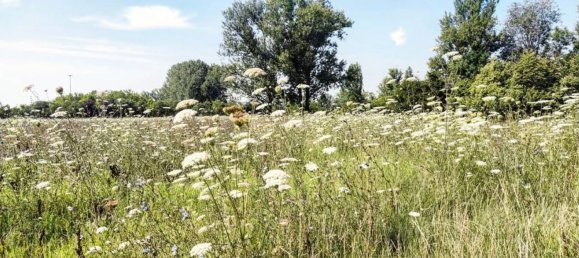 7 bedrooms Duplex in Modena, Italy No. 339267 19