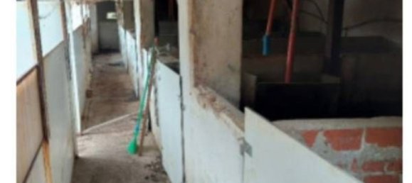 951m² Commercial property in Vicoforte, Italy No. 321555 12